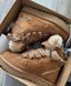 уггі Жіночі Зимові Кросівки UGG Lowmel Sneaker High коричневі 770008 фото 7